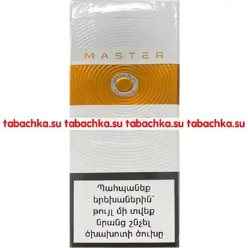 Сигареты Master Slim Apple Mint